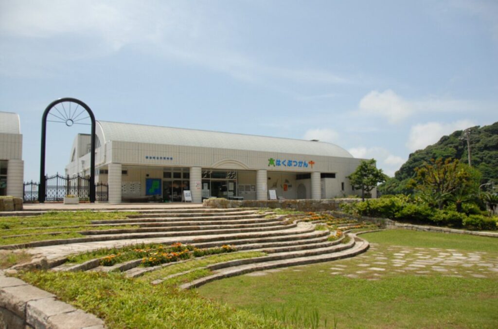 観音崎自然博物館