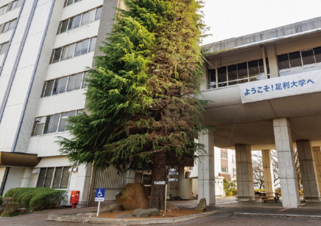 七夕の国のロケ地に行ってみた