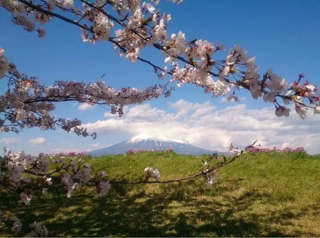 さよならマエストロのロケ地に行ってみた