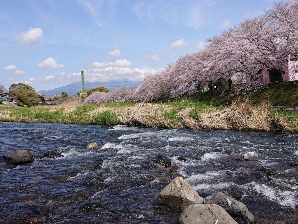 さよならマエストロのロケ地に行ってみた