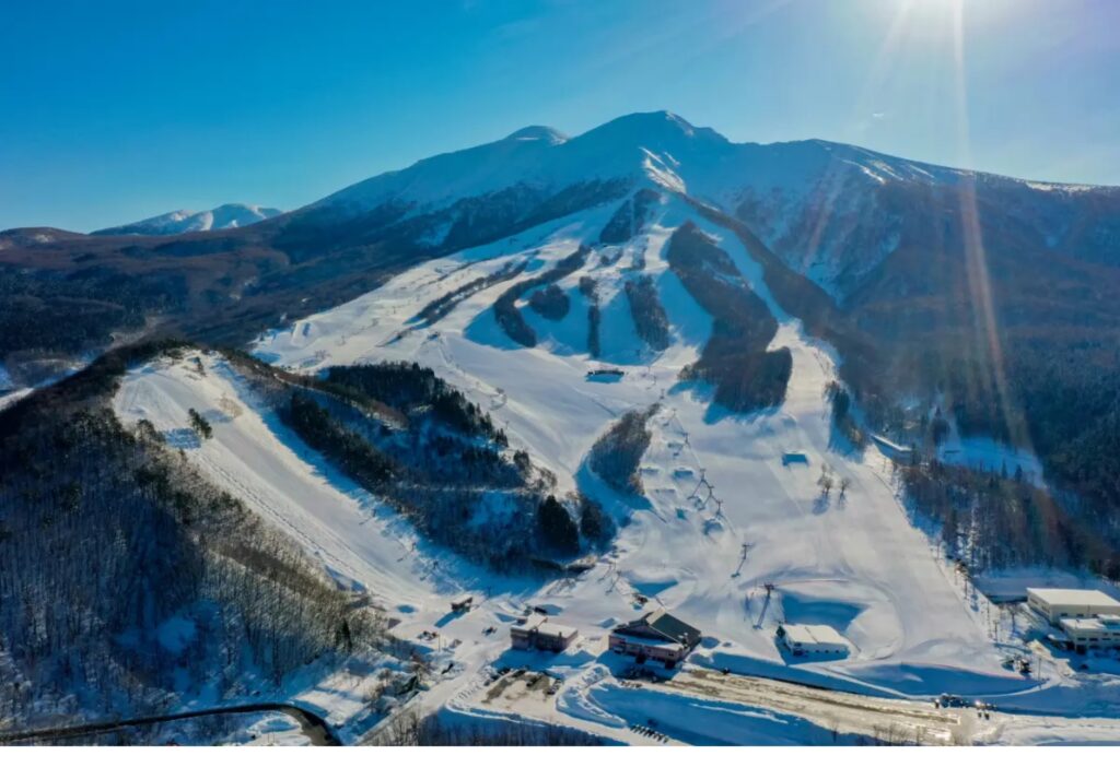 生き続ける者のロケ地に行ってみた