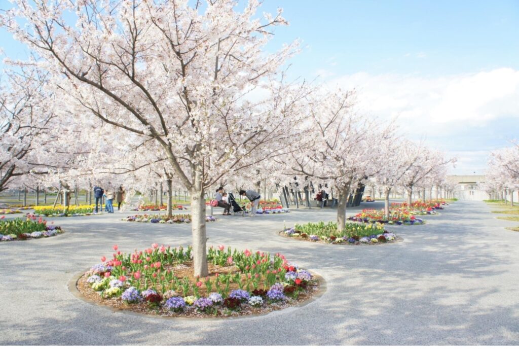 御上先生のロケ地に行ってみた