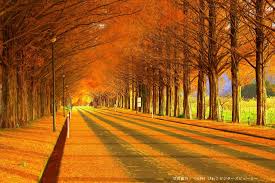 湖の女たちのロケ地に行ってみた