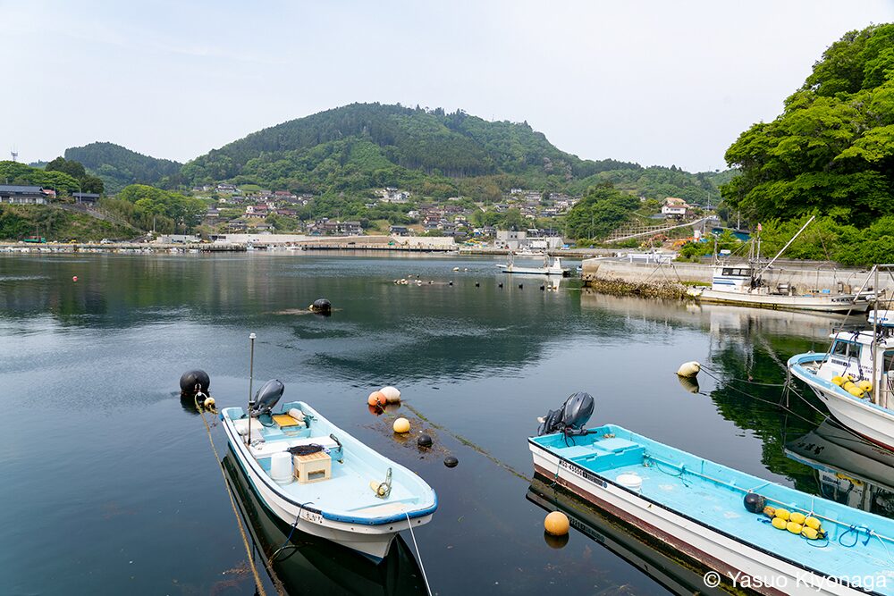 鮪立漁港|晋作が釣りをするシーン