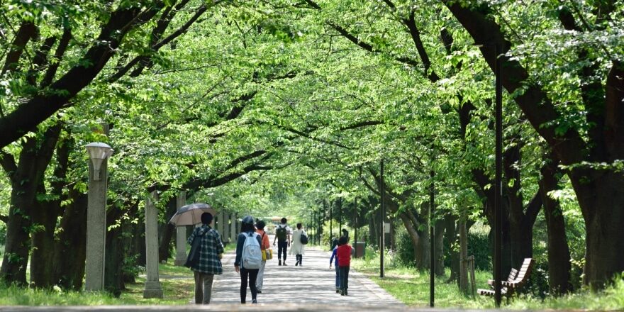辰巳の森緑道公園