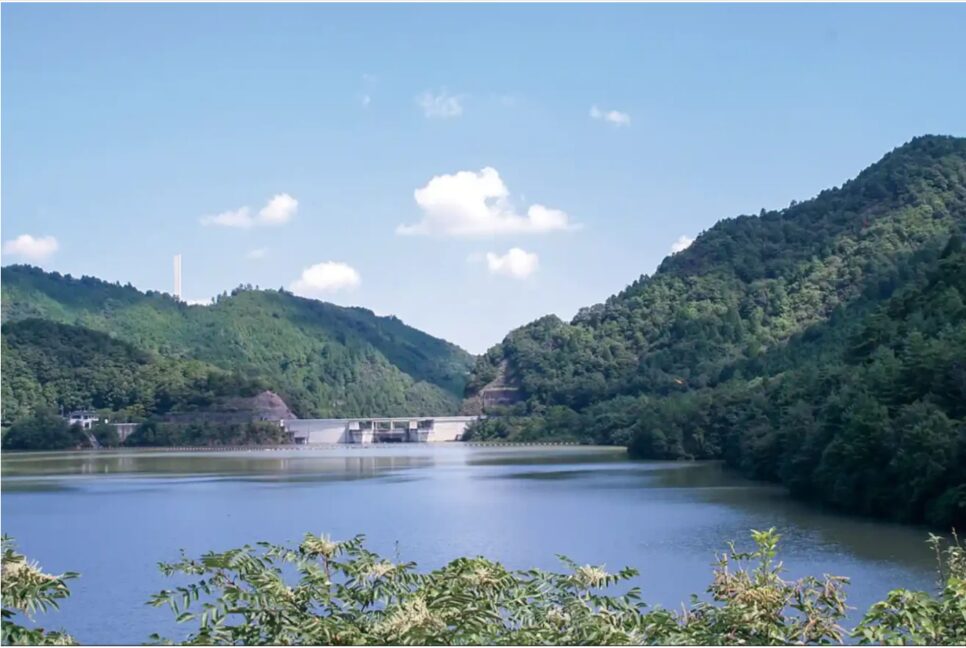 滝畑ダム(大梵天王社・天神社):「ある場所」のモデル地・ダムと鳥居のシーン