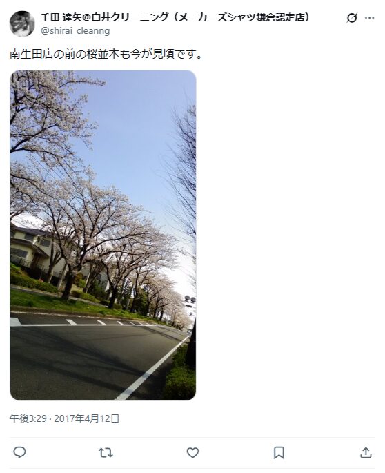 南生田の桜並木・柳島歩道橋：タイムマシンバスのバス停「六中裏」