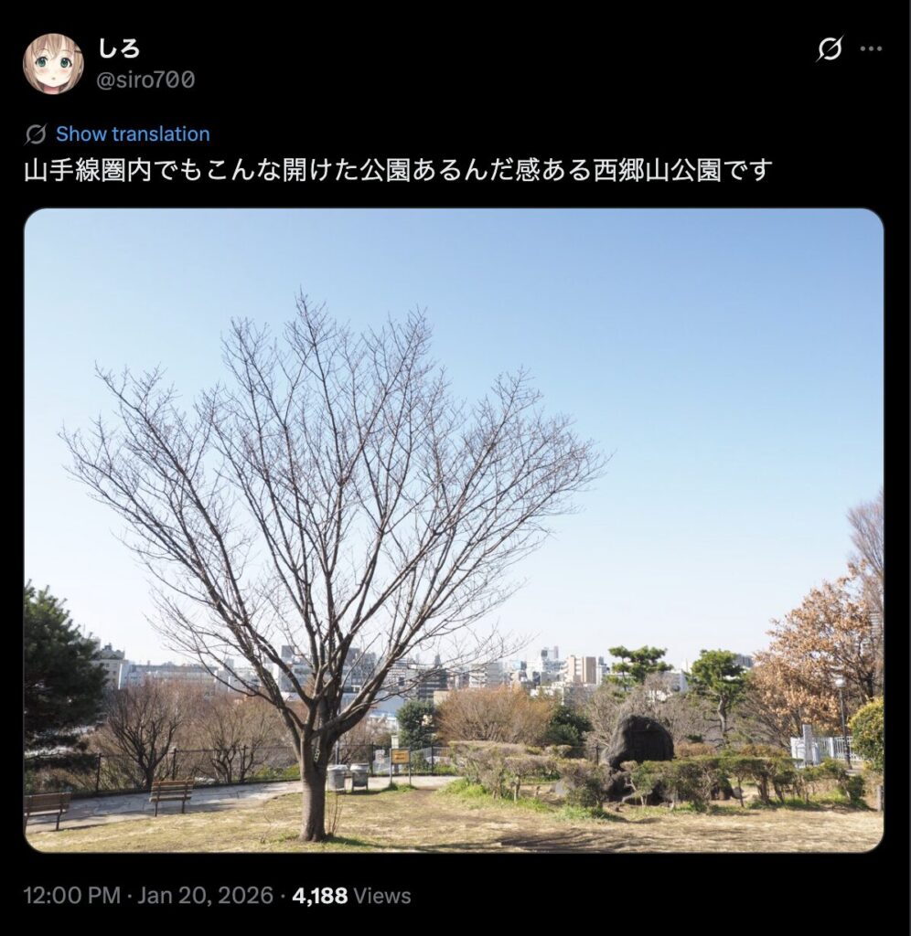 ⑩：西郷山公園｜瀬名と涼子がデートの最後に訪れた場所