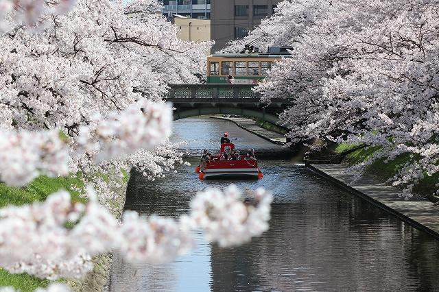 松川・華明橋：薬物取引犯を取り押さえるシーン